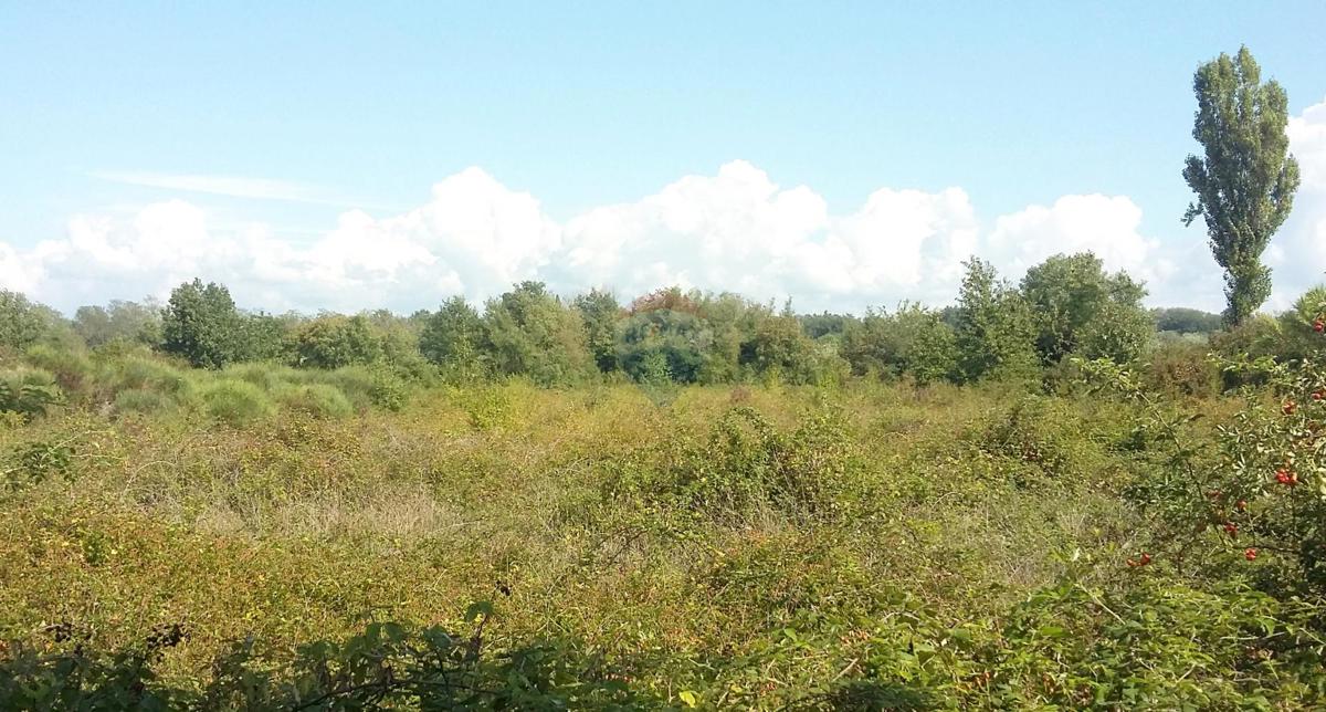 Stavbno zemljišče Lovrečica, Umag, 3.156m2