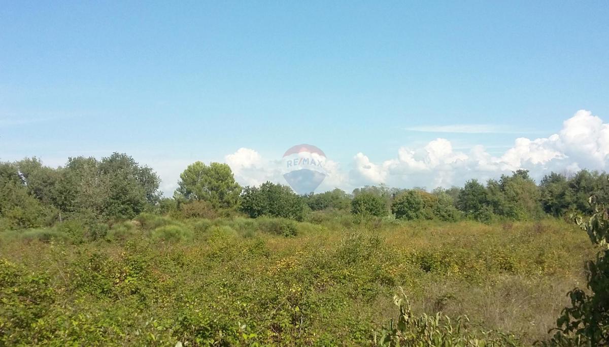 Stavbno zemljišče Lovrečica, Umag, 3.156m2