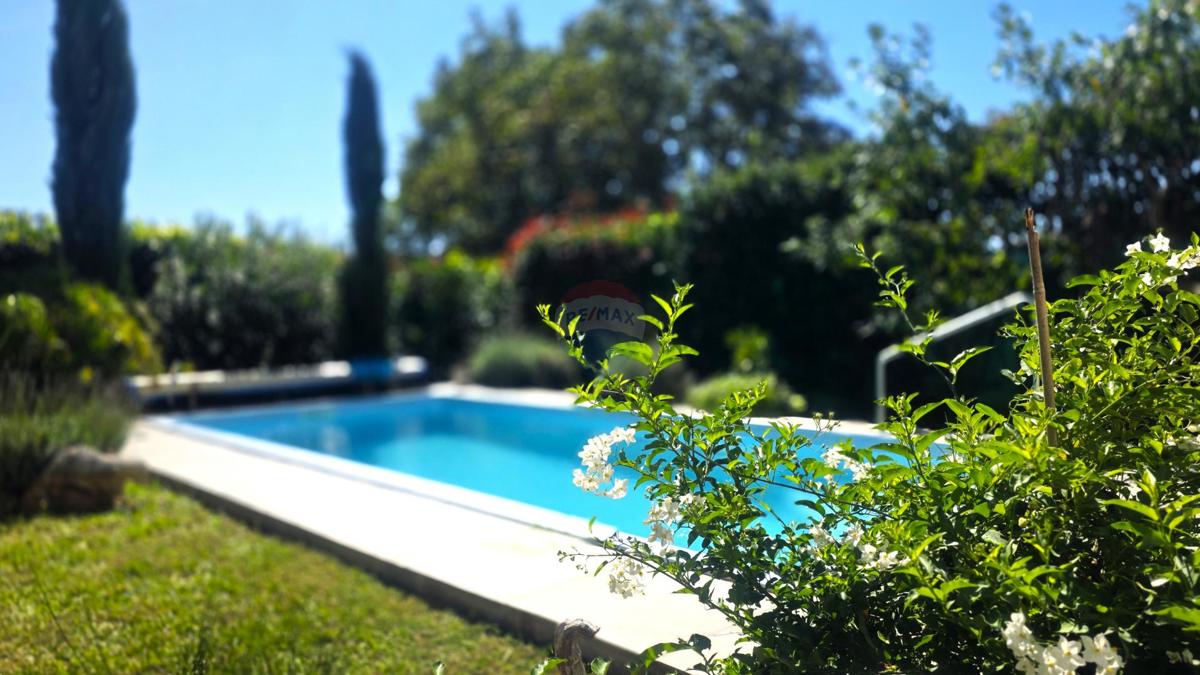 Istra, okolica Lovrečica – Samostojna hiša s bazenom