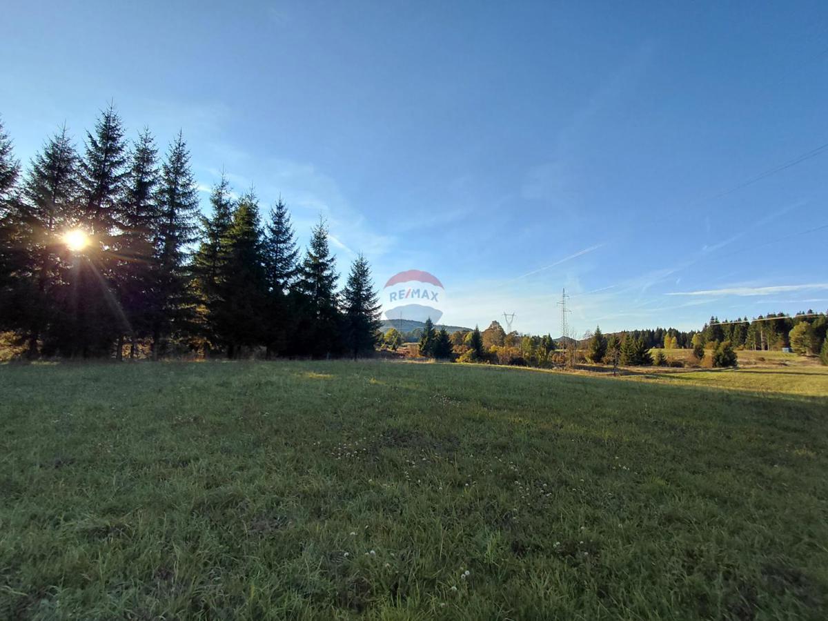 Stavbno zemljišče Stara Sušica, Ravna Gora, 1.100m2