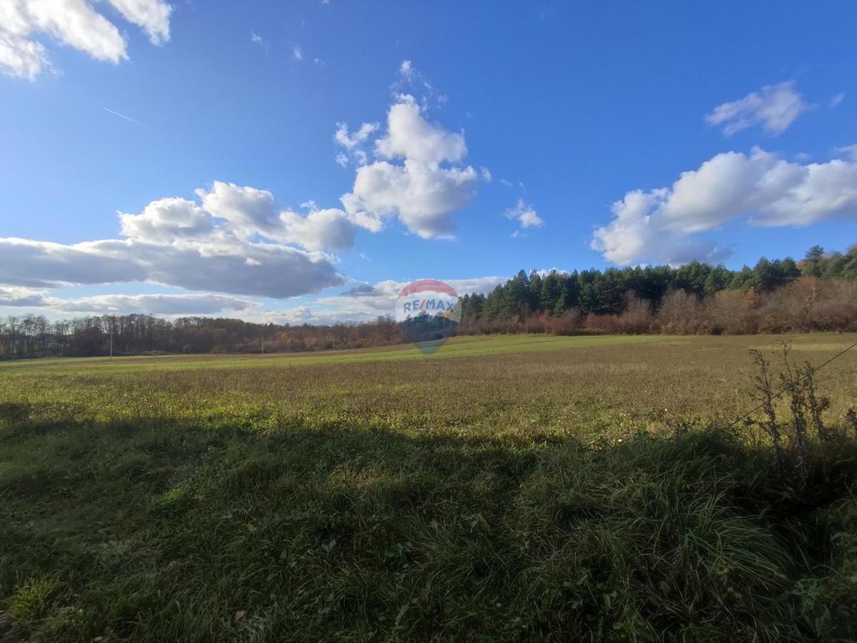 Hiša Svojić, Barilovići, 100m2