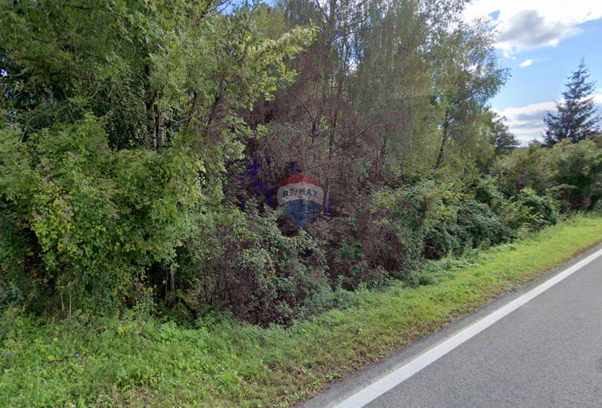 Stavbno zemljišče Lokve, 4.399m2