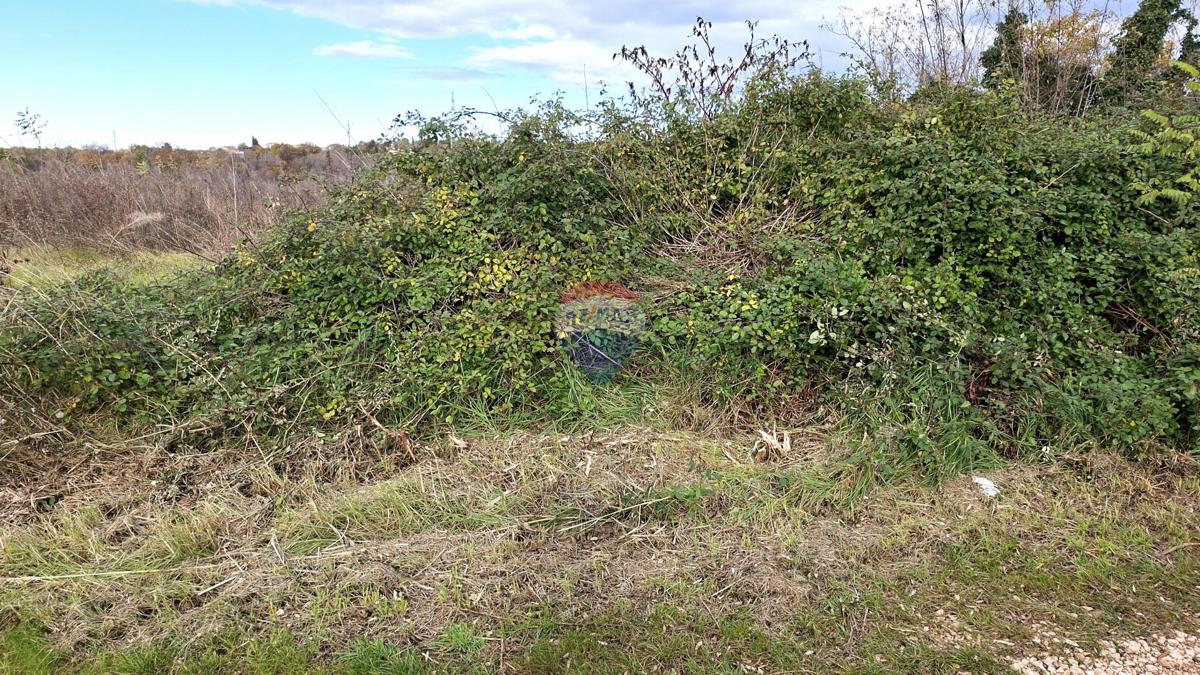 Stavbno zemljišče Murine, Umag, 898m2