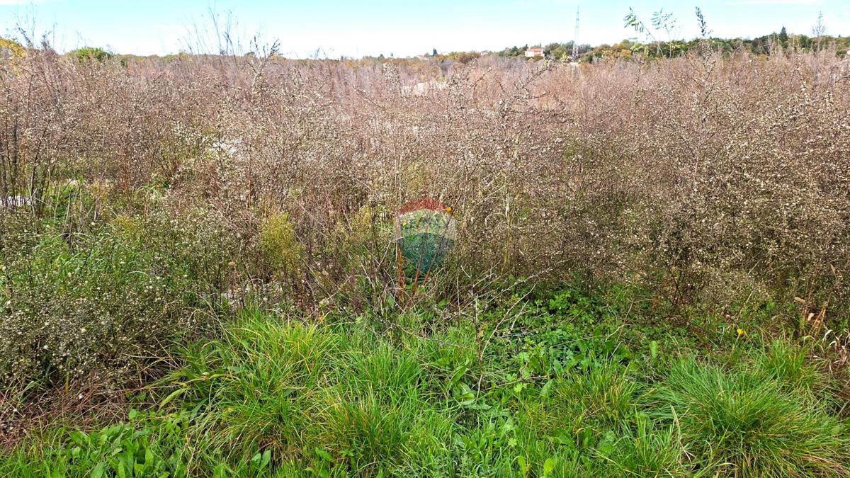 Stavbno zemljišče Murine, Umag, 898m2