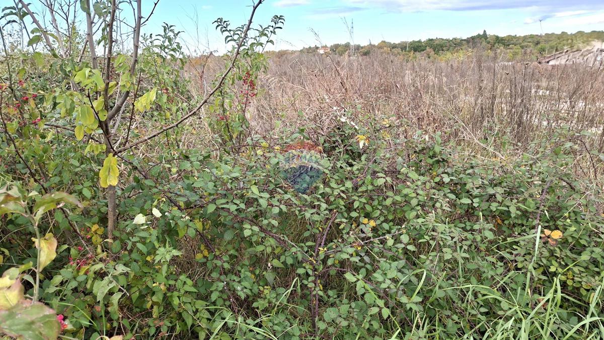 Stavbno zemljišče Murine, Umag, 898m2