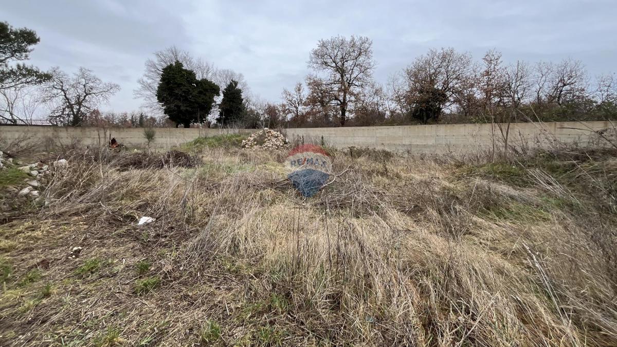 Hiša Vižinada, 530m2