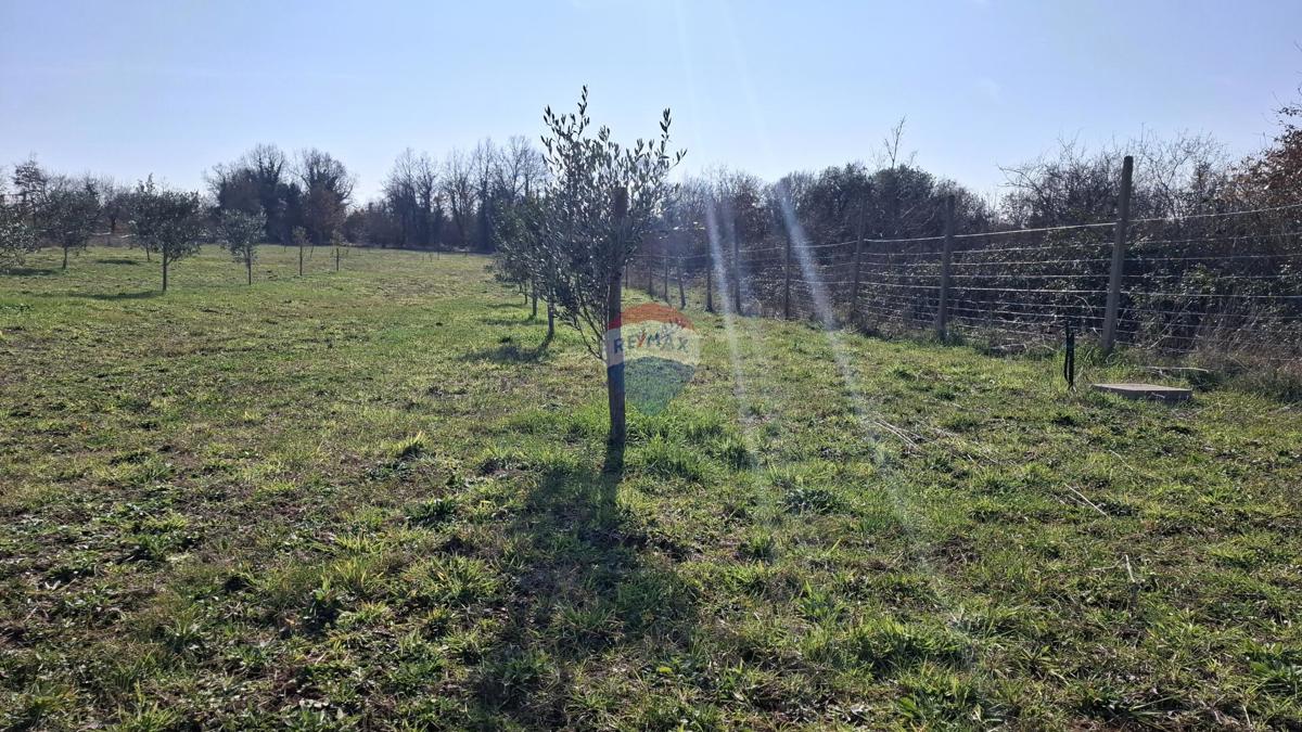 Istra, Kršin, Kmetijsko zemljišče 5.217 m²