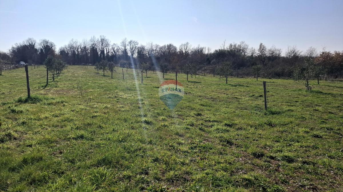 Istra, Kršin, Kmetijsko zemljišče 5.217 m²