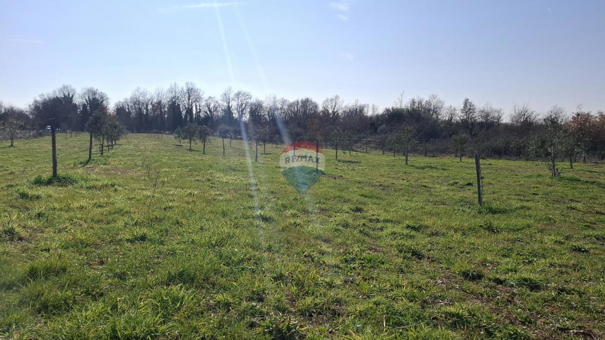 Istra, Kršin, Kmetijsko zemljišče 5.217 m²