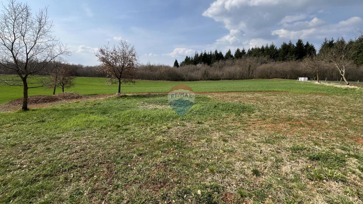 Stavbno zemljišče Markovići, Vižinada, 11.458m2