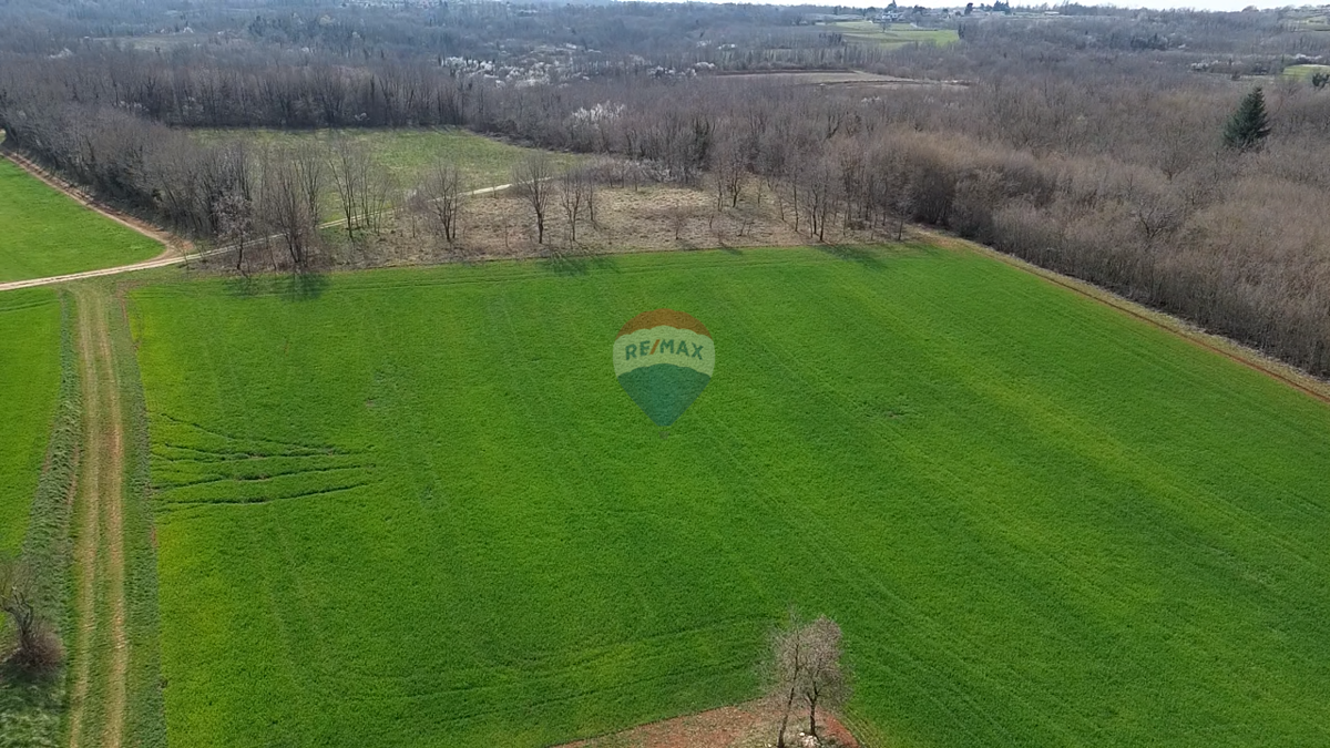 Stavbno zemljišče Markovići, Vižinada, 11.458m2