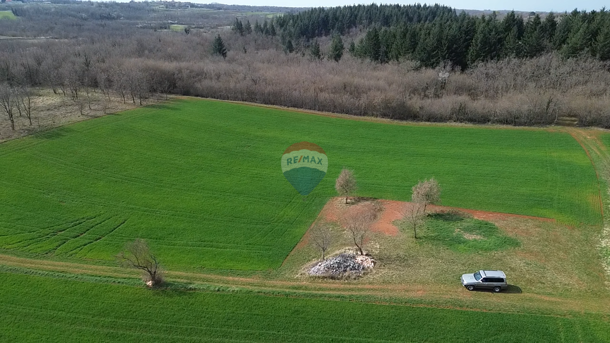 Stavbno zemljišče Markovići, Vižinada, 11.458m2
