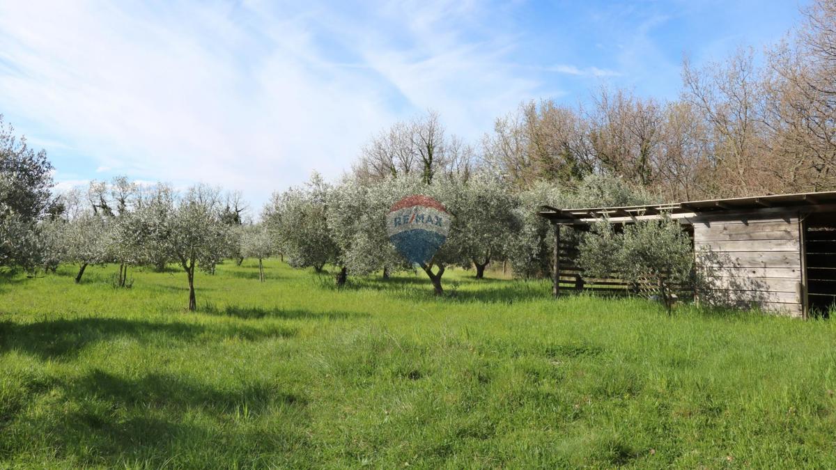Stavbno zemljišče Baderna, Poreč, 3.080m2