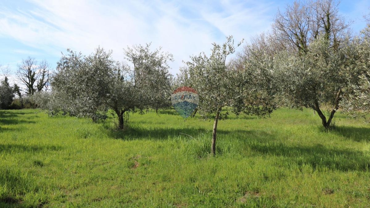 Stavbno zemljišče Baderna, Poreč, 3.080m2