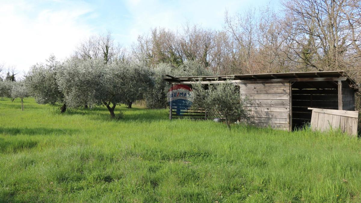 Stavbno zemljišče Baderna, Poreč, 3.080m2