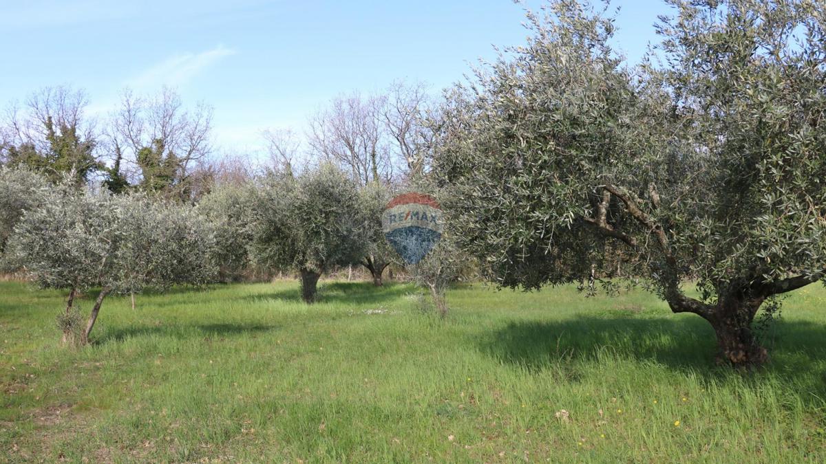 Stavbno zemljišče Baderna, Poreč, 3.080m2