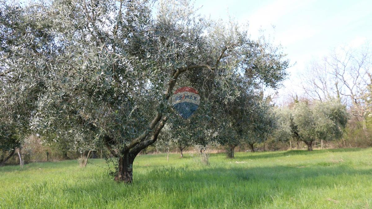 Stavbno zemljišče Baderna, Poreč, 3.080m2