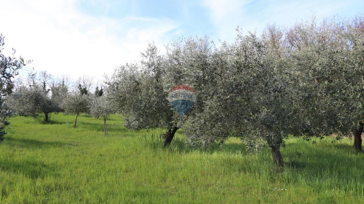 Stavbno zemljišče Baderna, Poreč, 3.080m2