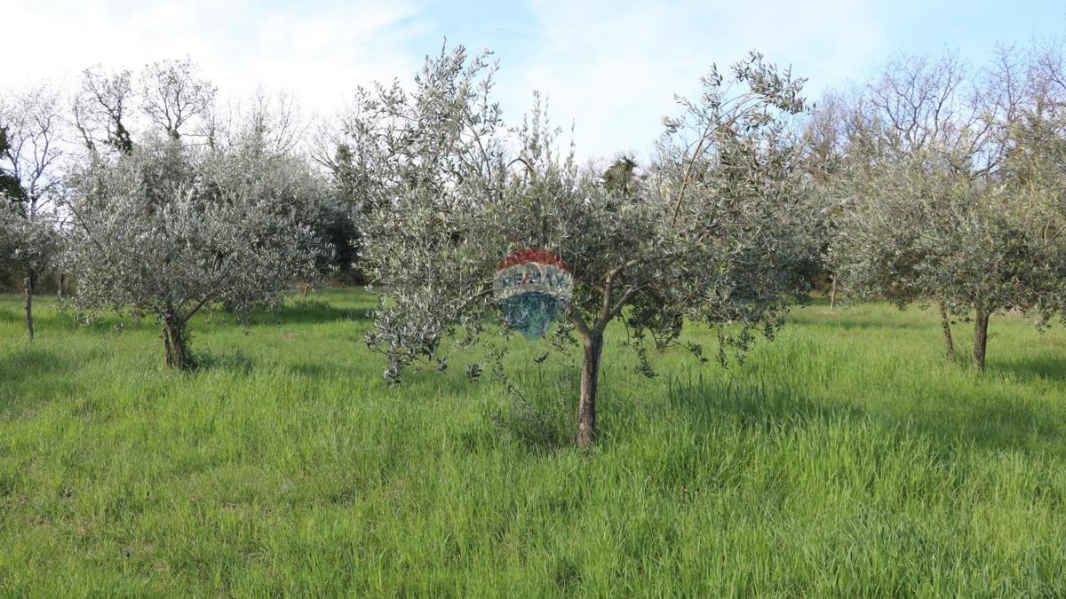 Stavbno zemljišče Baderna, Poreč, 3.080m2