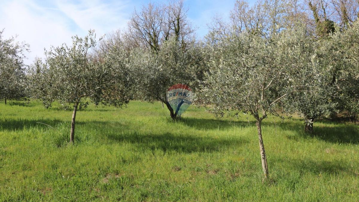 Stavbno zemljišče Baderna, Poreč, 3.080m2