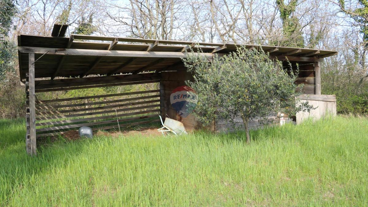 Stavbno zemljišče Baderna, Poreč, 3.080m2