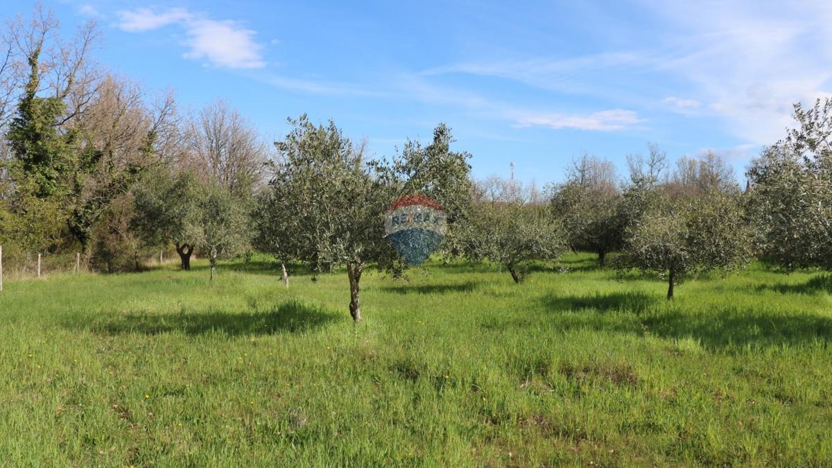 Stavbno zemljišče Baderna, Poreč, 3.080m2