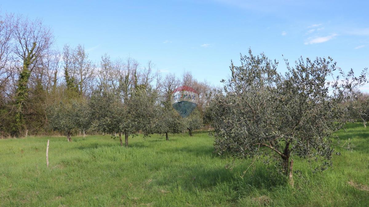 Stavbno zemljišče Baderna, Poreč, 3.080m2