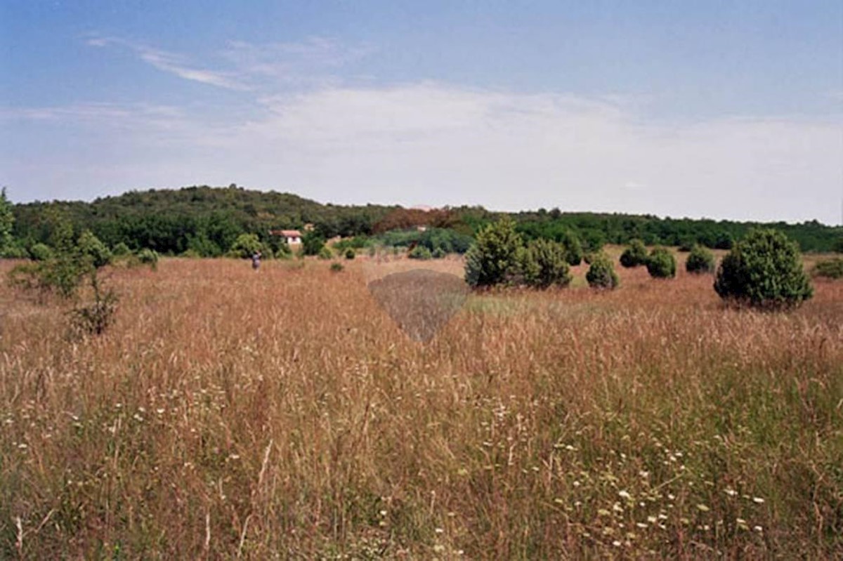 Šorići, Kanfanar, 25.117m2