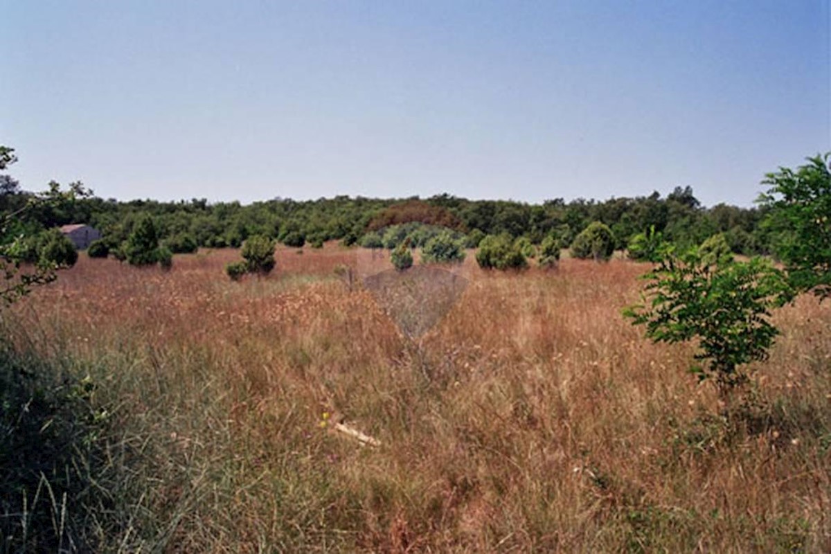 Šorići, Kanfanar, 25.117m2