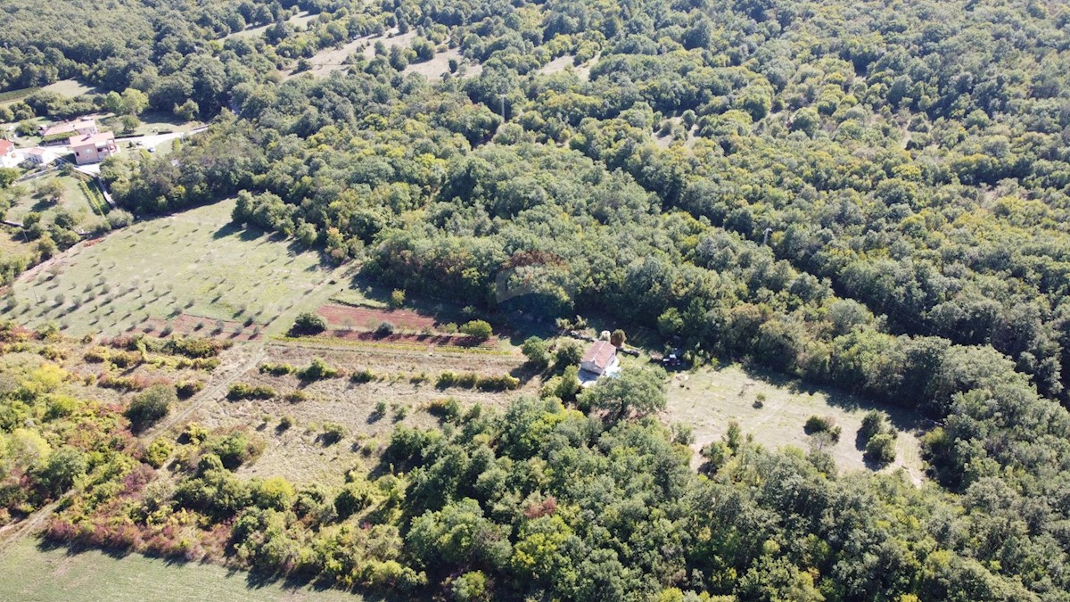 ISTRIA, LABIN - Stone house for renovation in seclusion with 27800 m2 garden