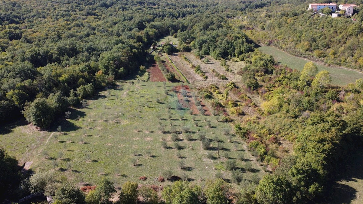 ISTRIA, LABIN - Stone house for renovation in seclusion with 27800 m2 garden