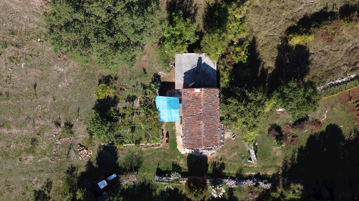 ISTRIA, LABIN - Stone house for renovation in seclusion with 27800 m2 garden