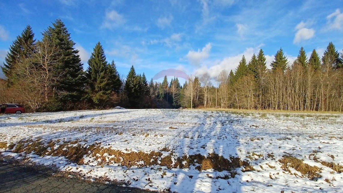 Leskova Draga, Ravna Gora, 8.207m2