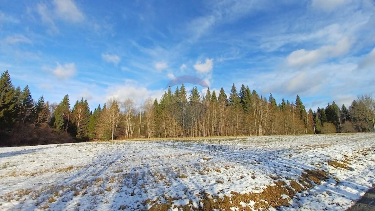Leskova Draga, Ravna Gora, 8.207m2