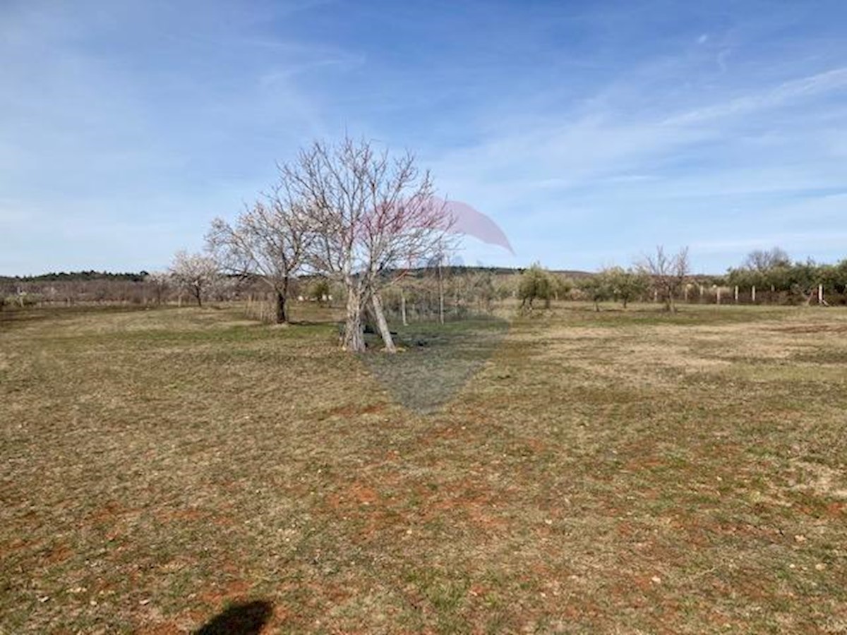 Ženodraga, Višnjan, 32.614m2
