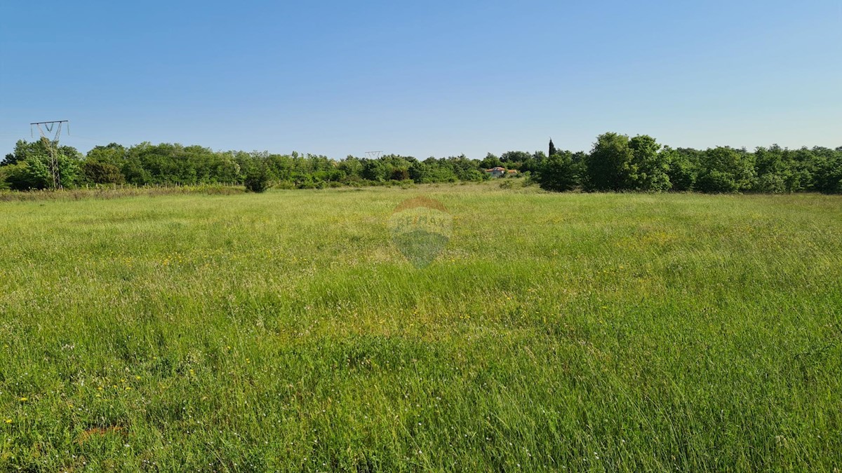 Marčana, 15.438m2