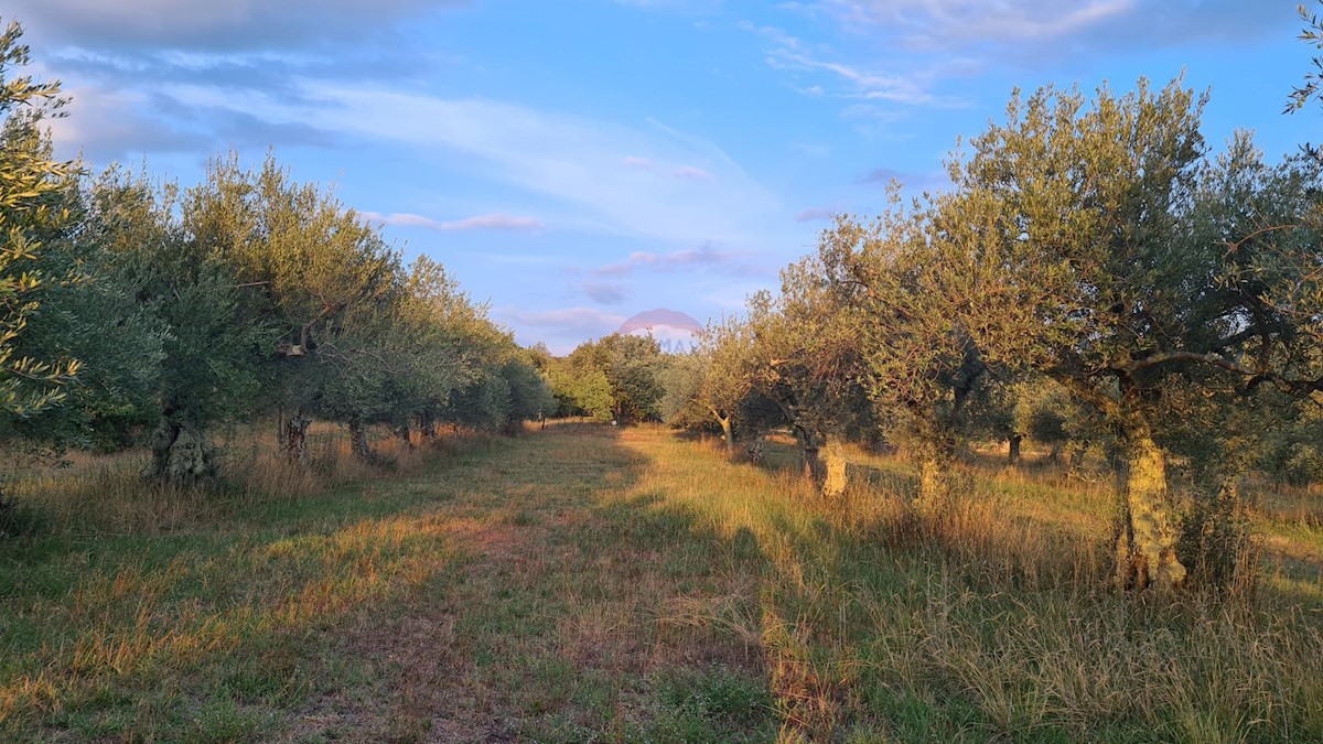 Poreč, 3.397m2