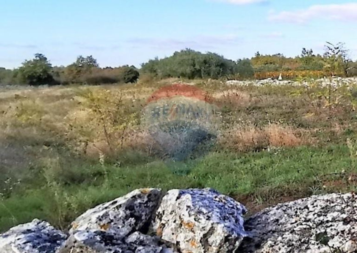 Salambati, Svetvinčenat, 2.935m2