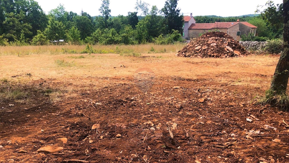 Makovci, Grožnjan, 1.000m2