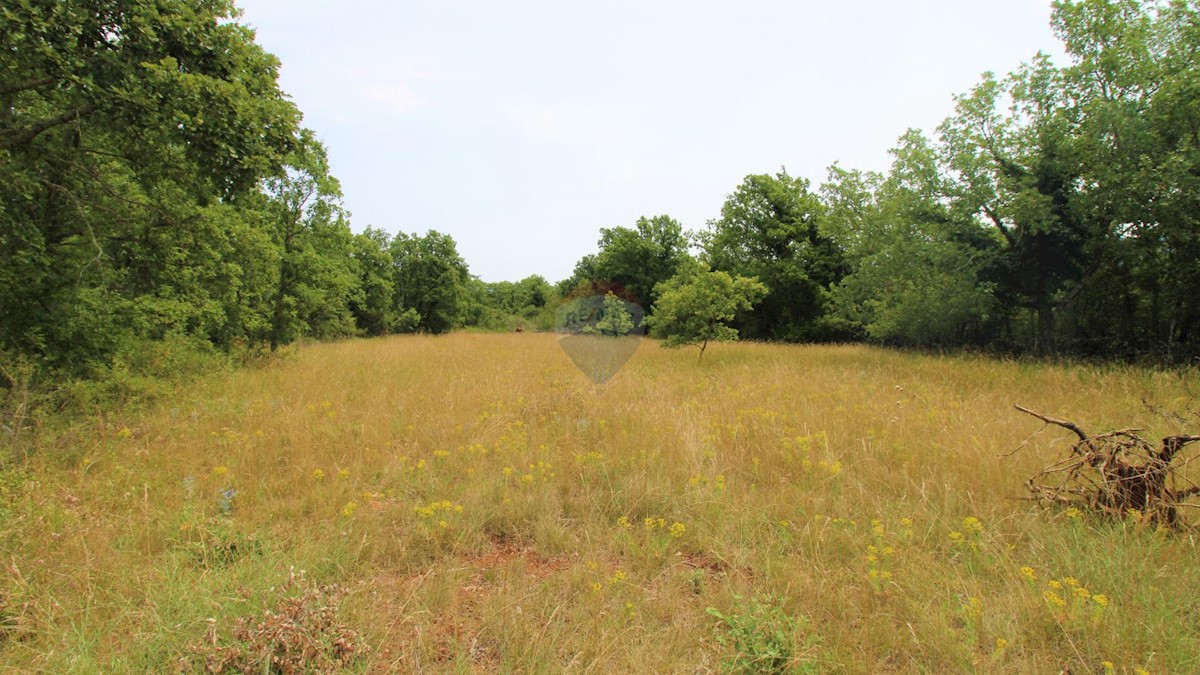 Makovci, Grožnjan, 1.000m2