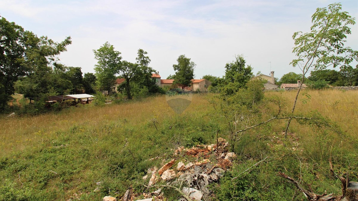 Makovci, Grožnjan, 1.000m2