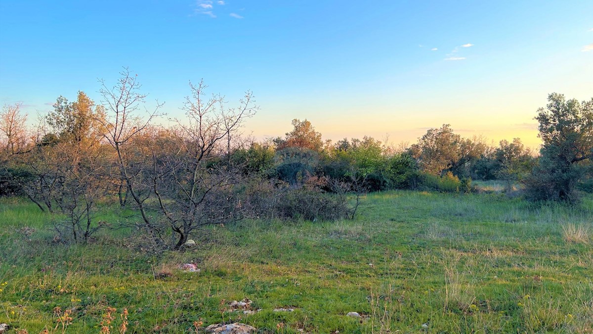 Galižana, Vodnjan, 7.637m2