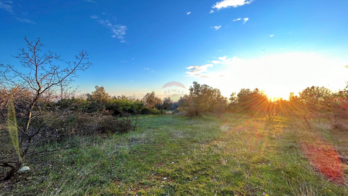 Galižana, Vodnjan, 7.637m2