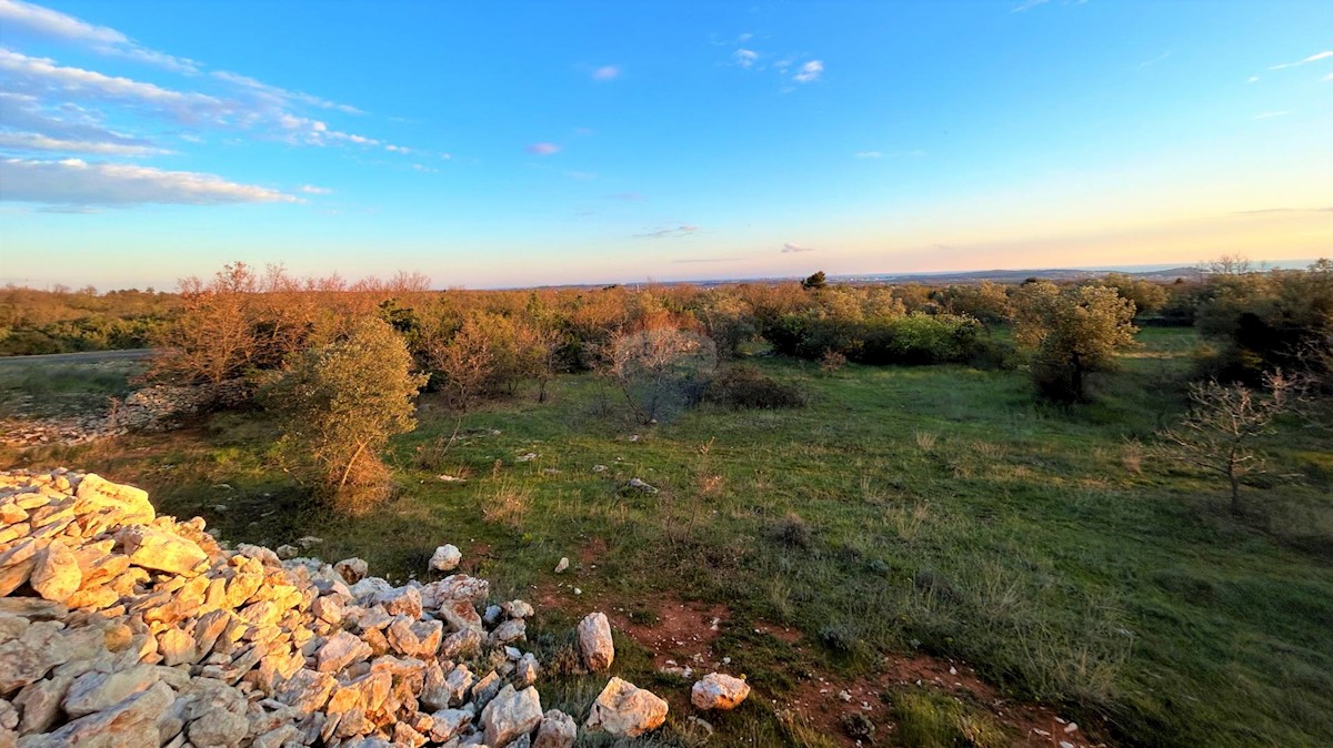 Galižana, Vodnjan, 7.637m2