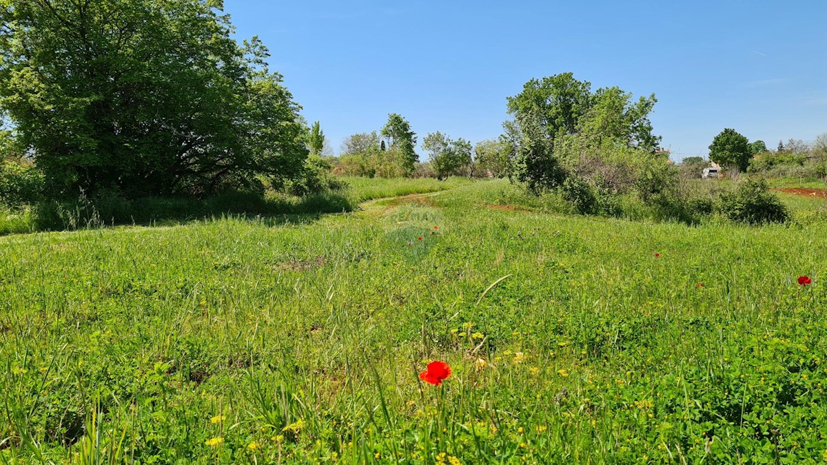 Poreč okolica, Poreč, 1.100m2