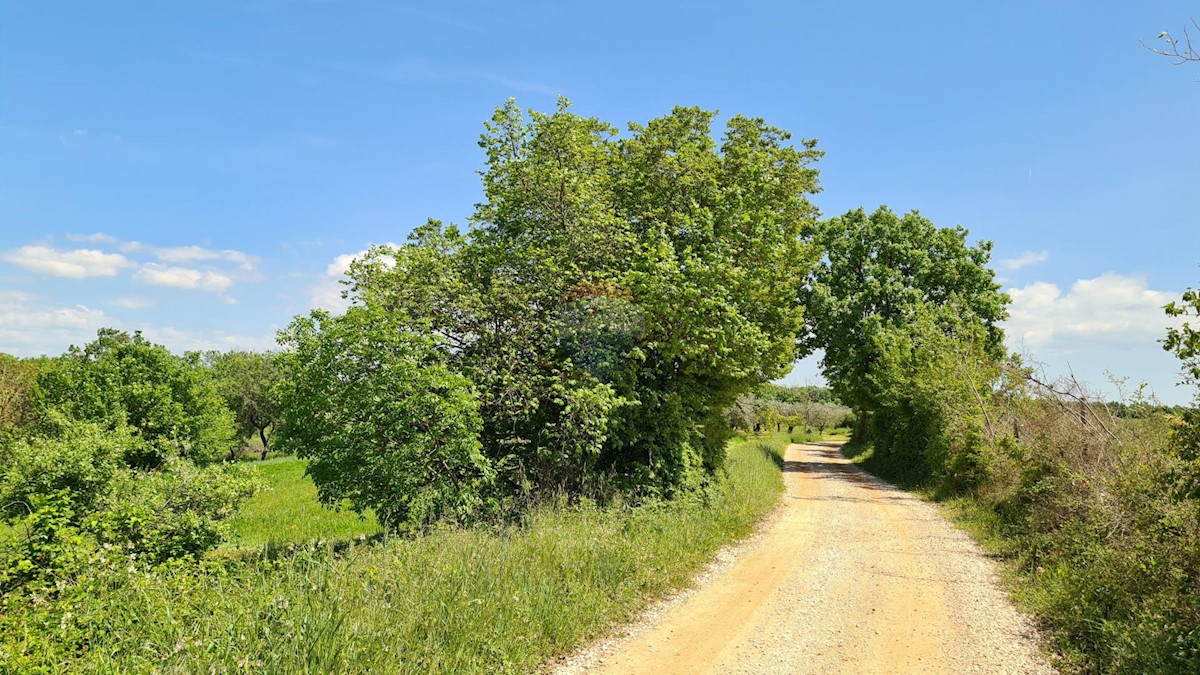 Poreč okolica, Poreč, 1.100m2