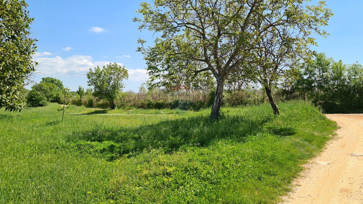 Poreč okolica, Poreč, 1.100m2