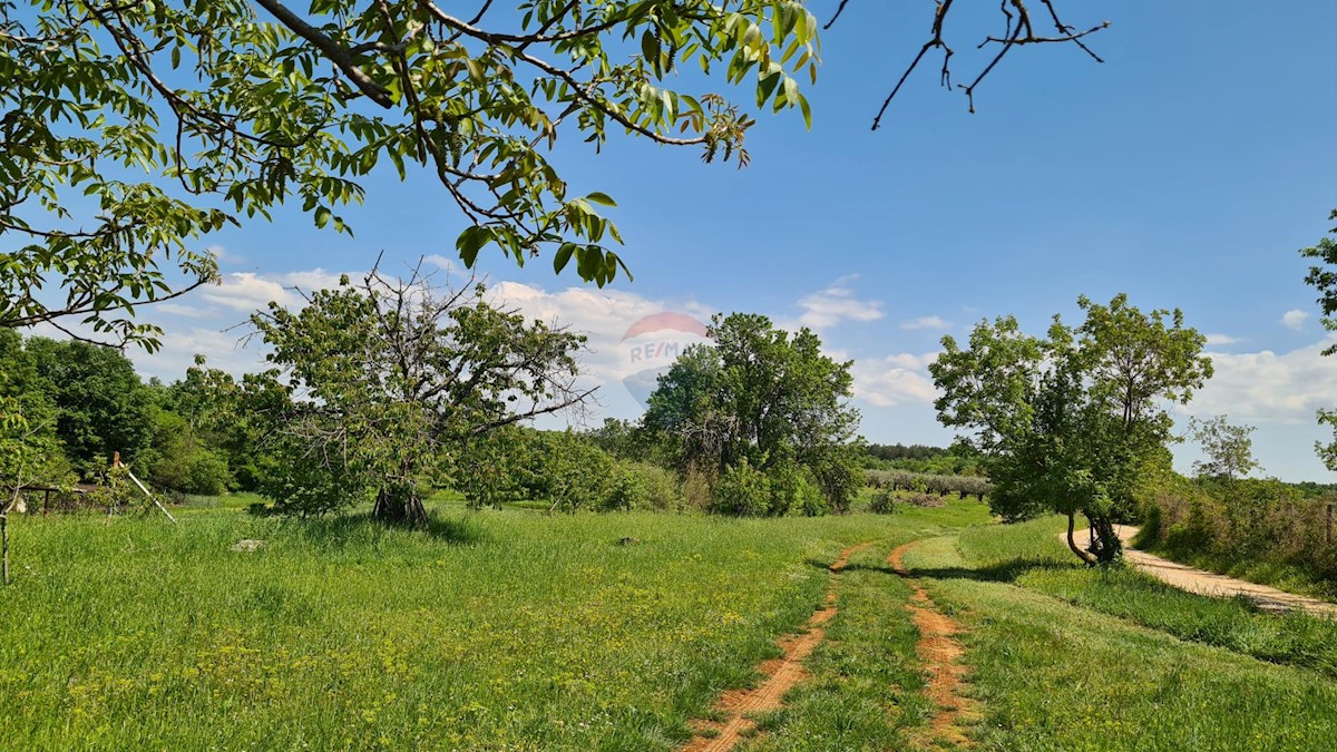 Poreč okolica, Poreč, 1.100m2