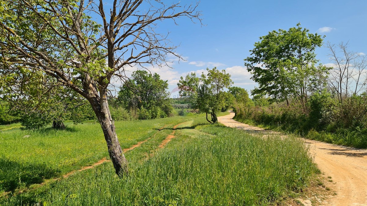 Poreč okolica, Poreč, 1.100m2