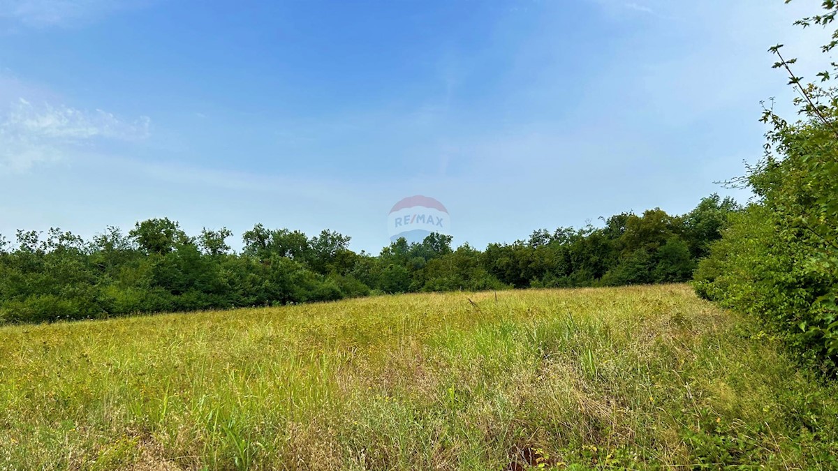 Lovrečica, Umag, 4.873m2